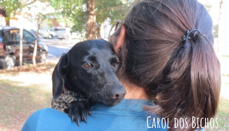 carol_foto carol_foto